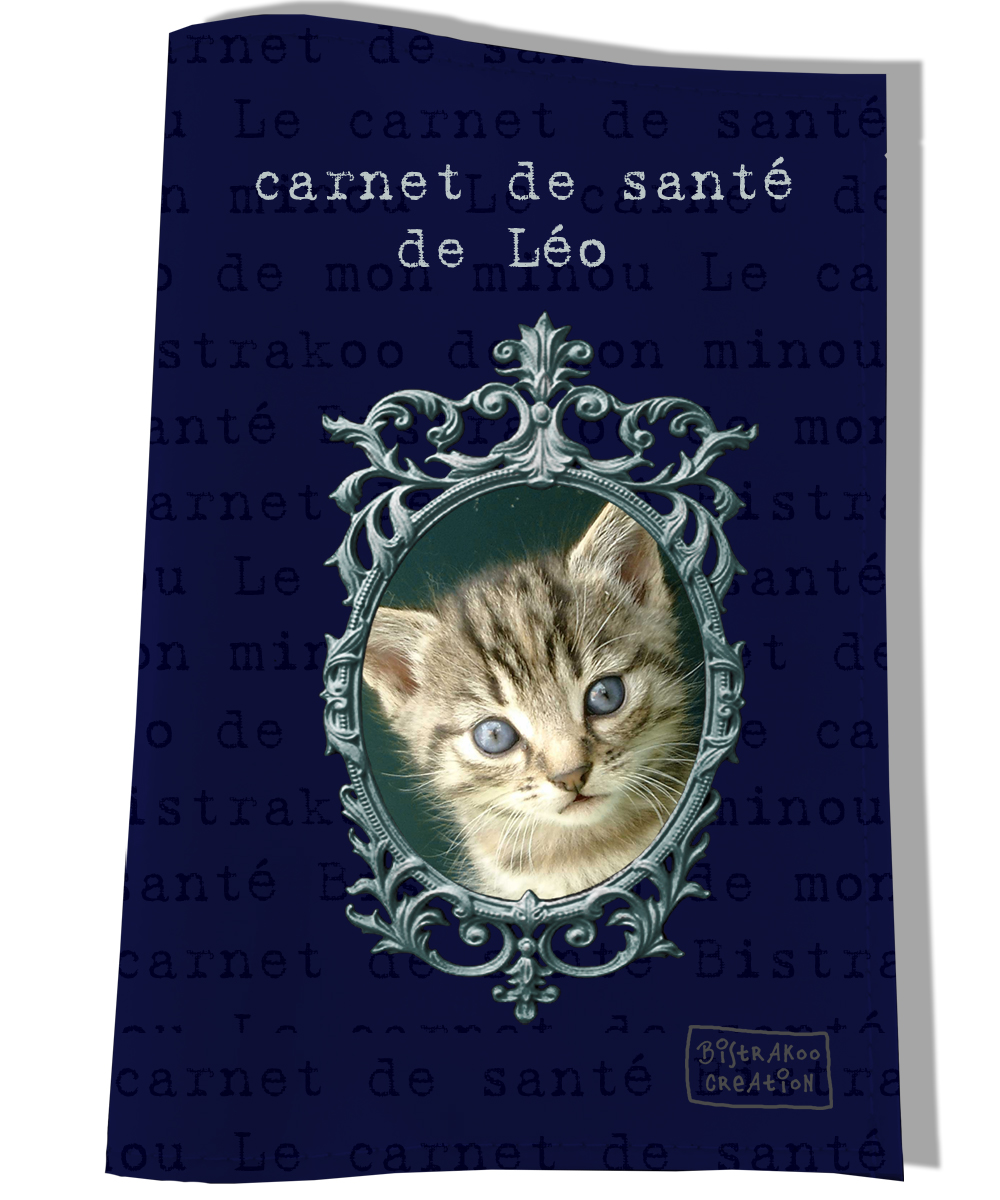 Protège carnet de santé pour chat chien etui passeport chat et chien dans  un panier fond gris nom brodé