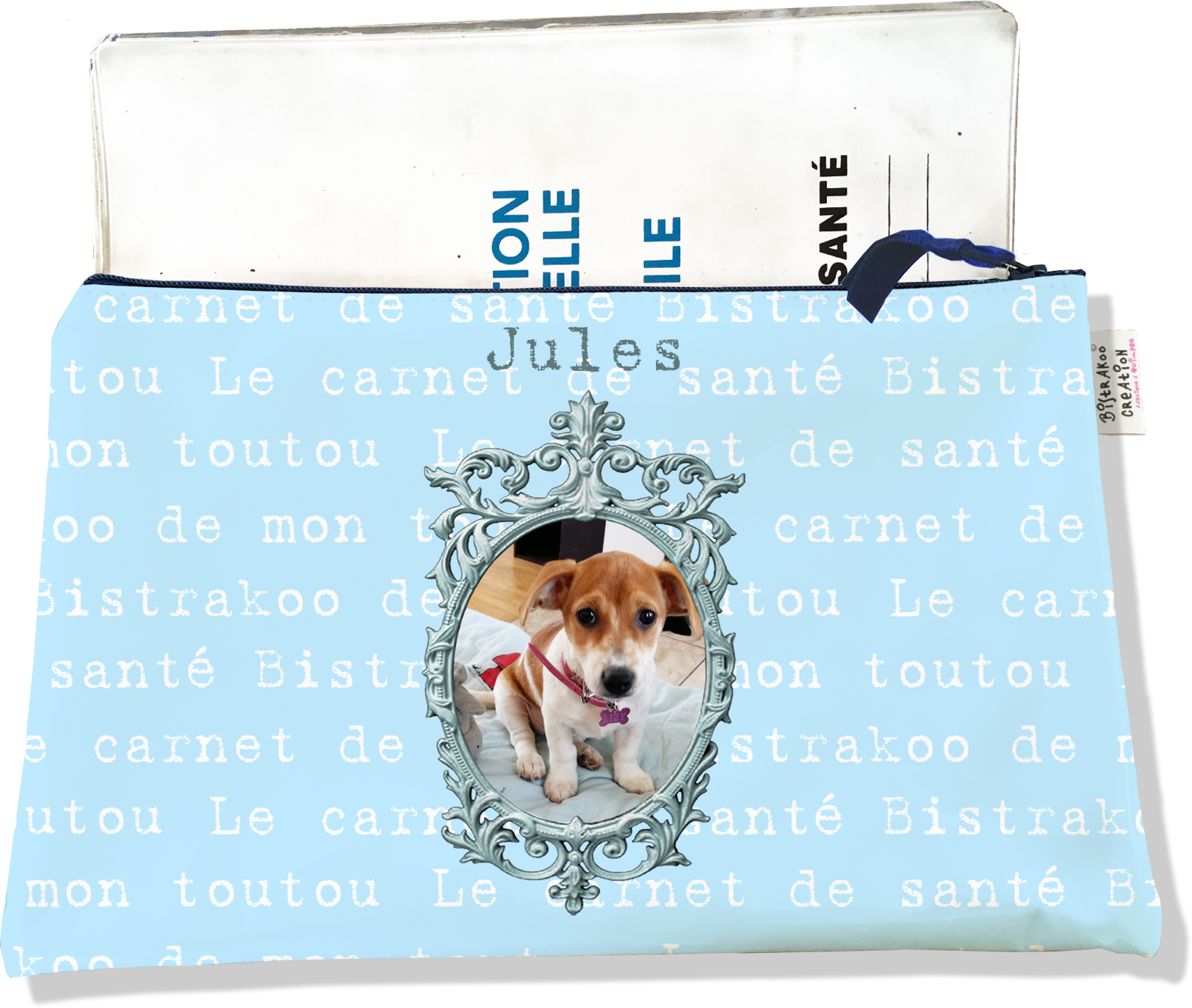 DIY Protège carnet de santé pour chien - My dog is a Queen