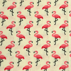 Coton flamands roses
