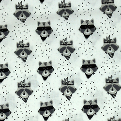 Coton ratons laveurs