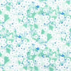 Liberty mitsi pomme
