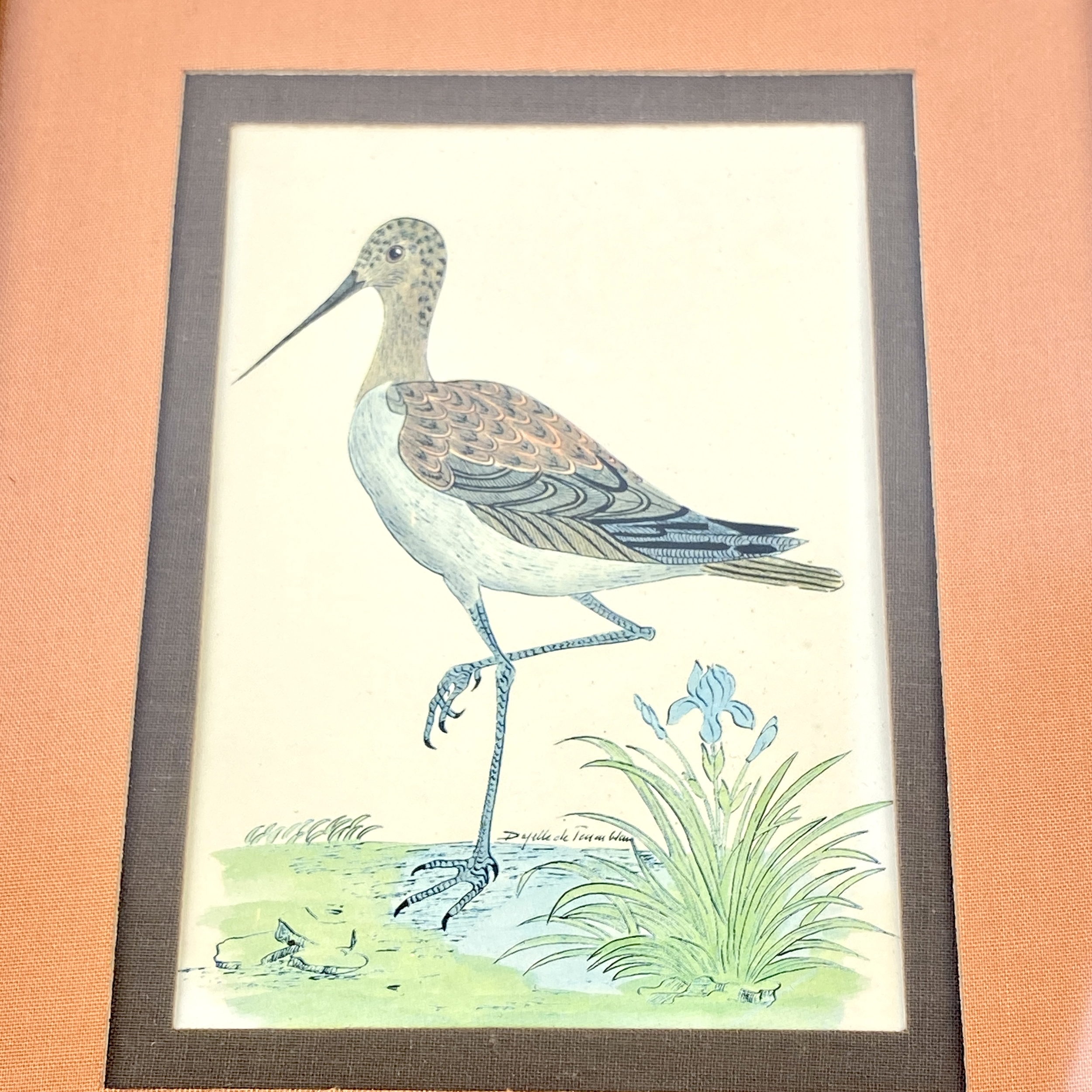 Cadre lithographie oiseau vintage et durable boutique brocup