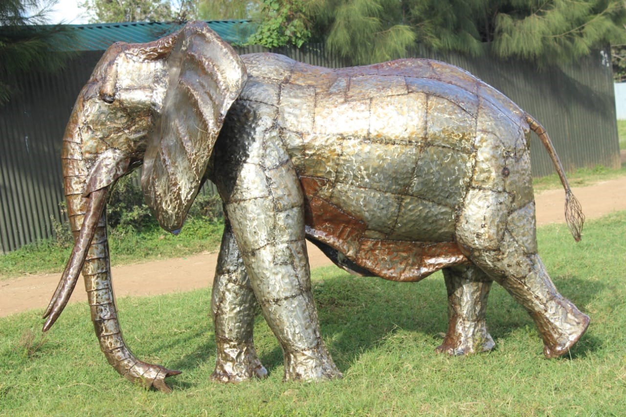 elephant big