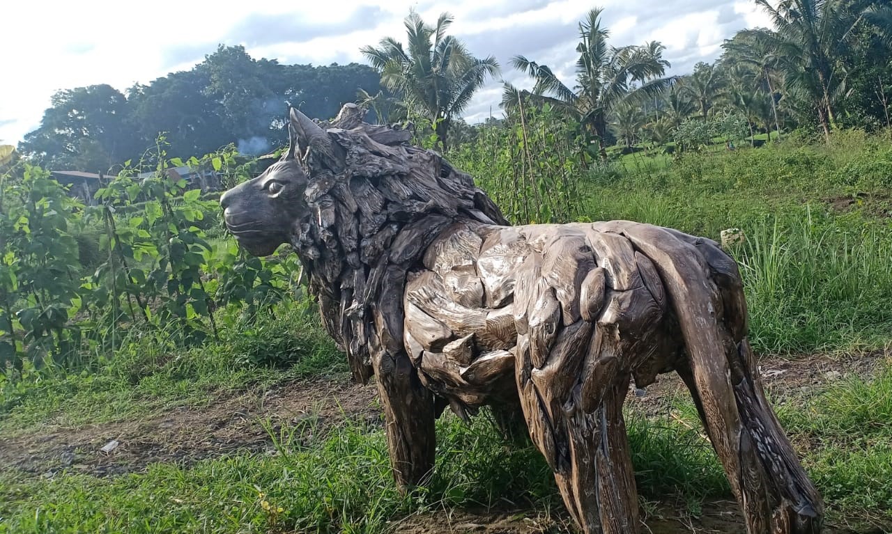 LION 5