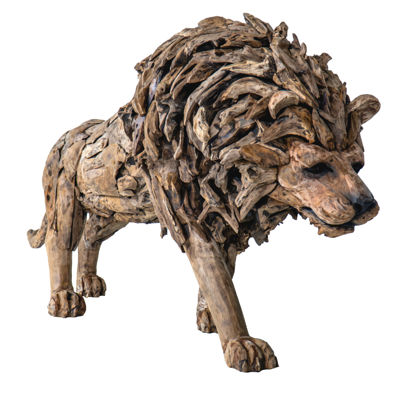 LION TECK DEBOUT TIMBO(800 × 800 px)