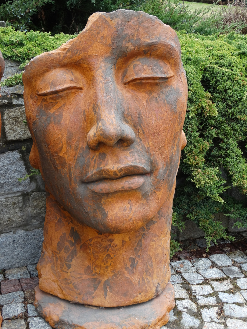 Visage Homme Aspect 