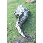 STATUE CROCODILE METAL RECYCLE DOS