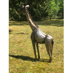 GIRAFE 75cm gauche 2