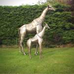 GIRAFES