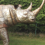 Rhino