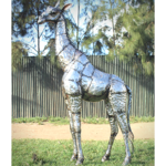 GIRAFE