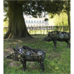 SANGLIER