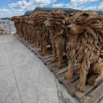 LIONS ASSIS EN TECK