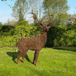 CERF ROUILLE PRODUIT