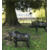 SANGLIER