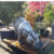HIPPOPOTAME