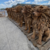 LIONS ASSIS EN TECK