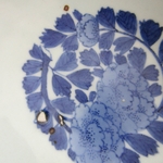 Japon. Arita. Coupe porcelaine à décor de fleurs et pieuvre en camaïeu bleu XIXe