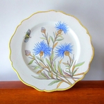 Quimper. Porquier Beau. Assiette en faïence à décor de bleuets et insecte, fin XIXe siècle