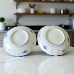 Japon. Paire dassiettes en porcelaine à décor de réserves, XIXe siècle