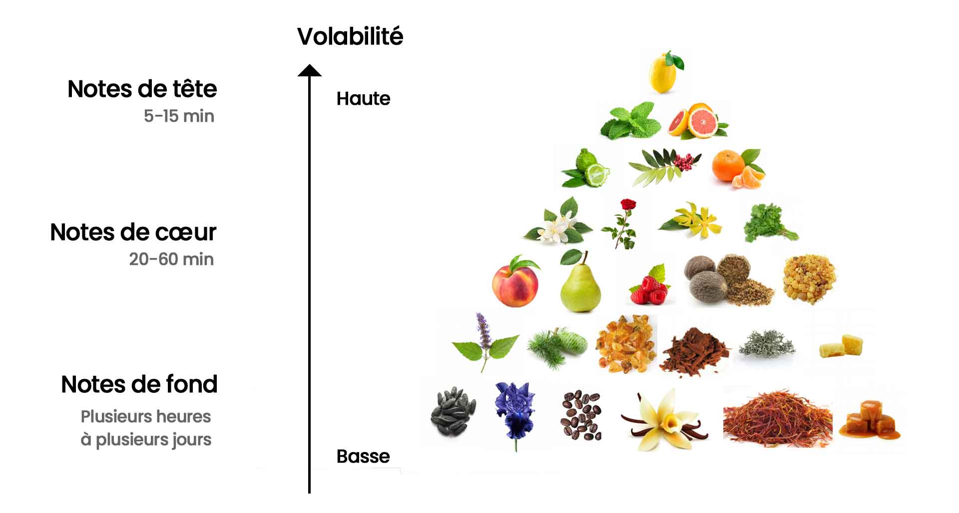 pyramide olfactive