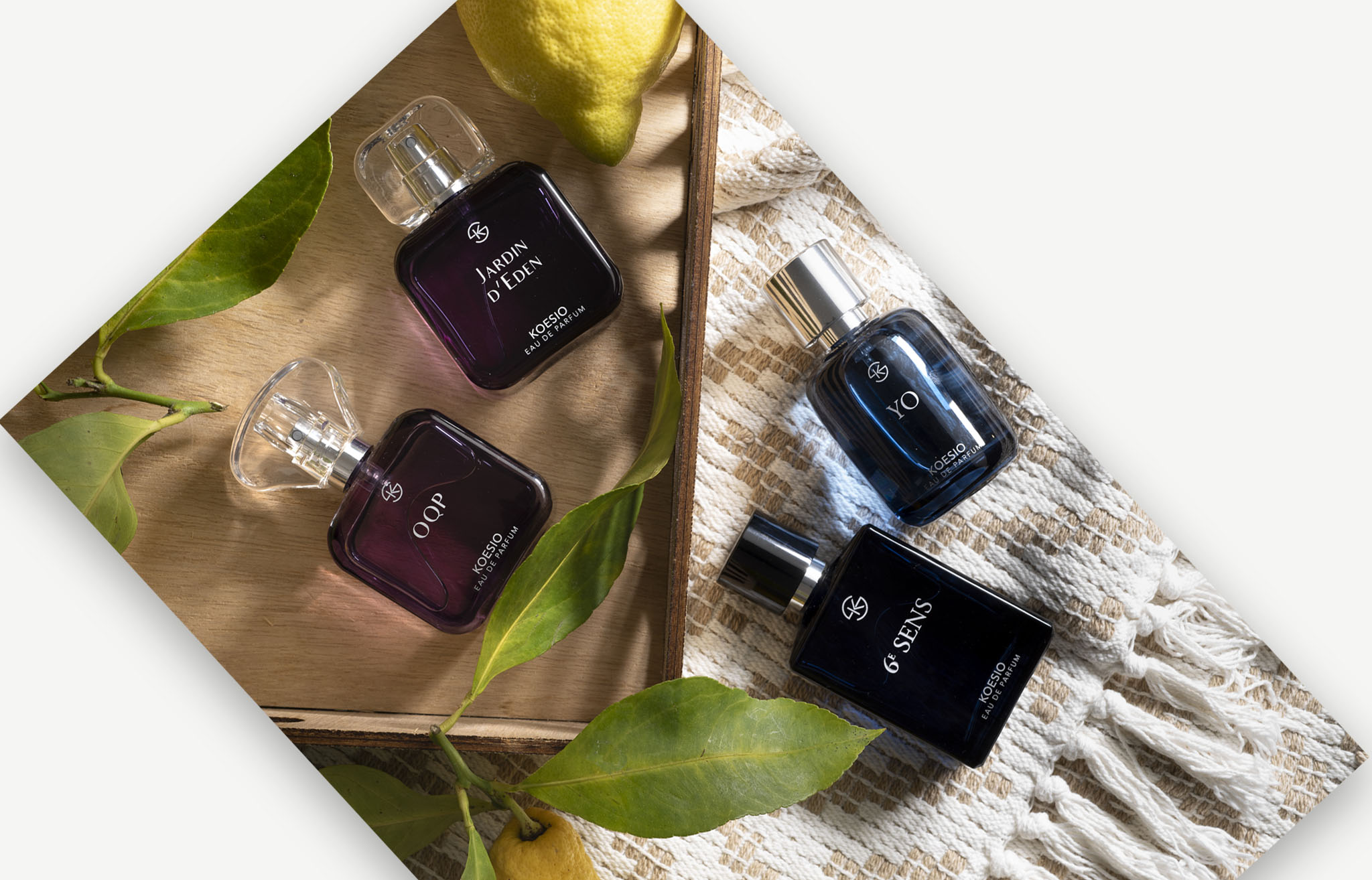 notre concept fragrances