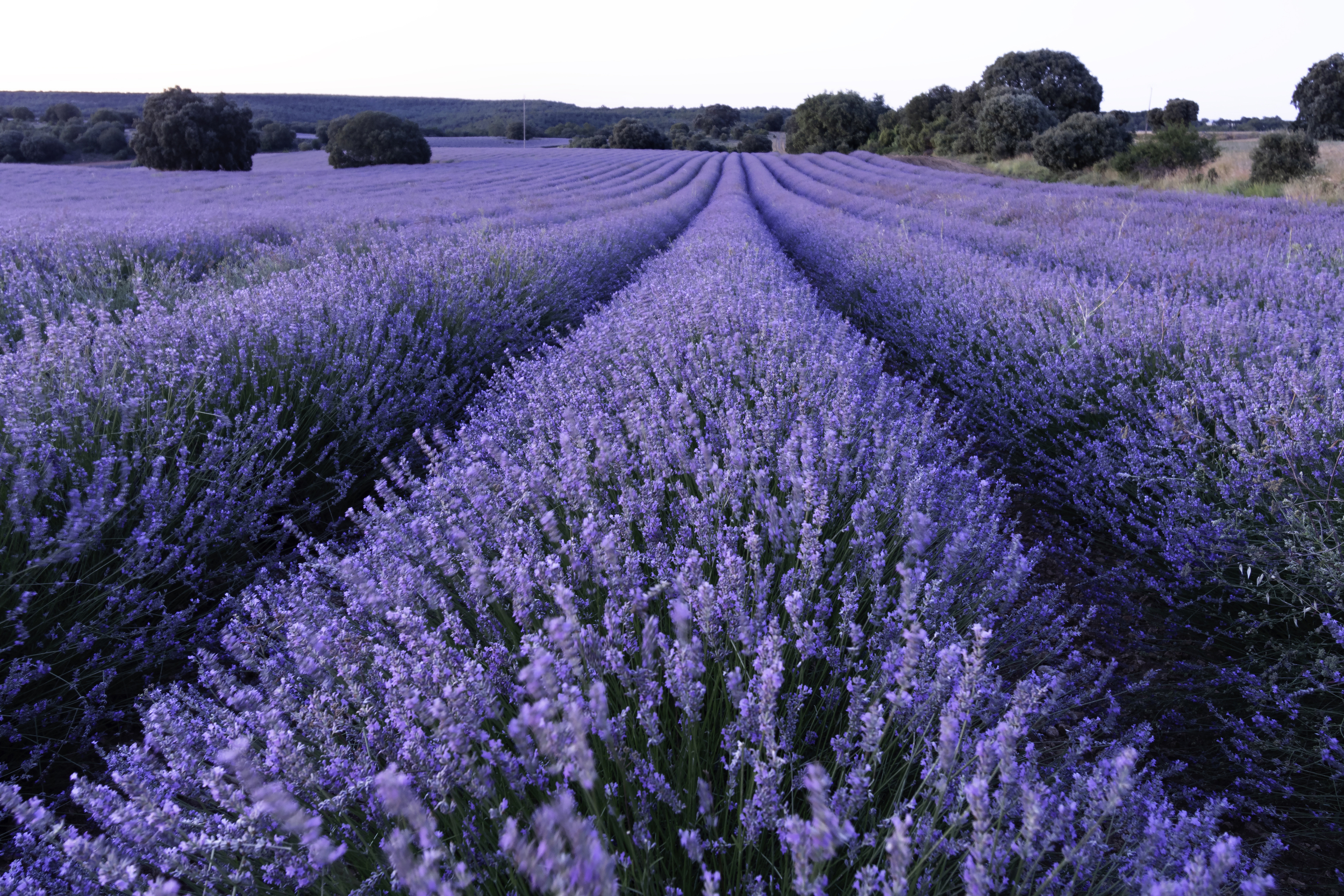 nos engagement provence leger