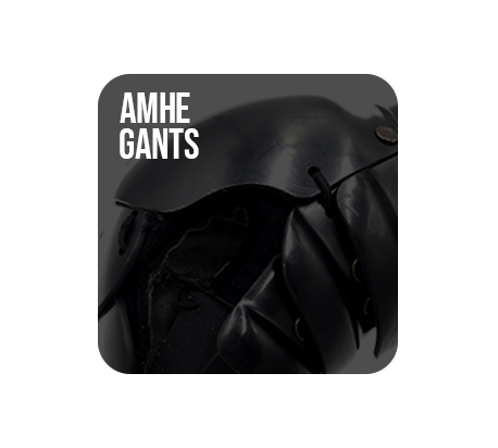 GANTS POUR AMHE