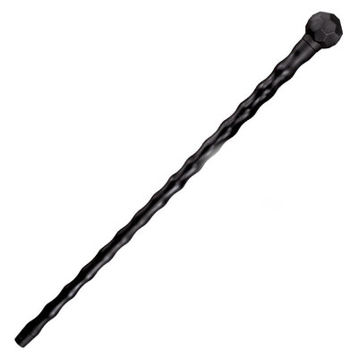 african-walking-stick