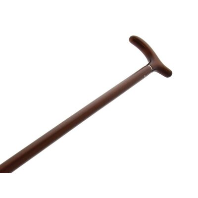 canne erable hetre