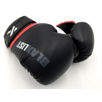 gants boxe thaï