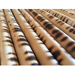 baton-rotin-eskrima-tigre