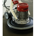 Monobrosse_Maxititina_Raimondi_3-1