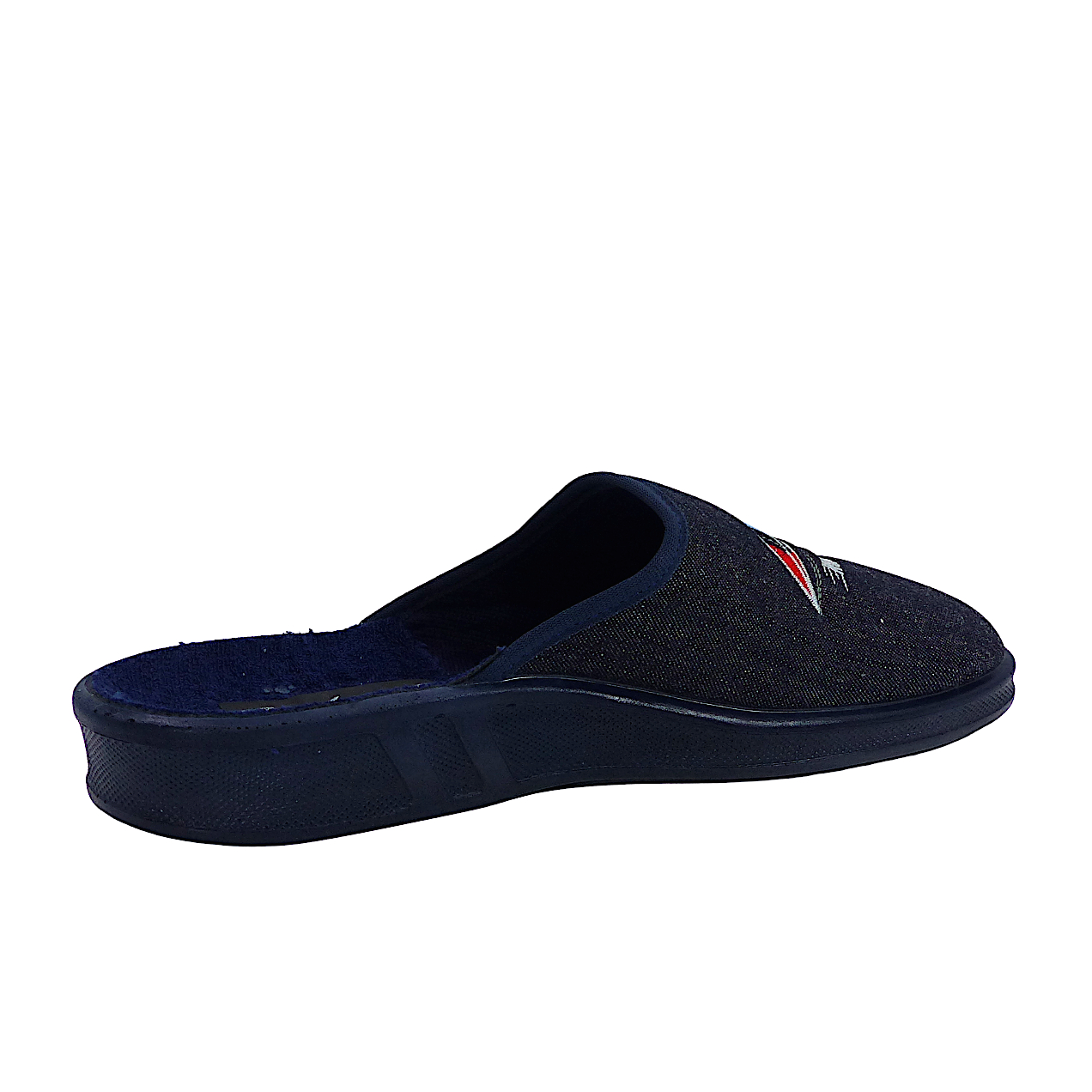 FlemmingBleu6