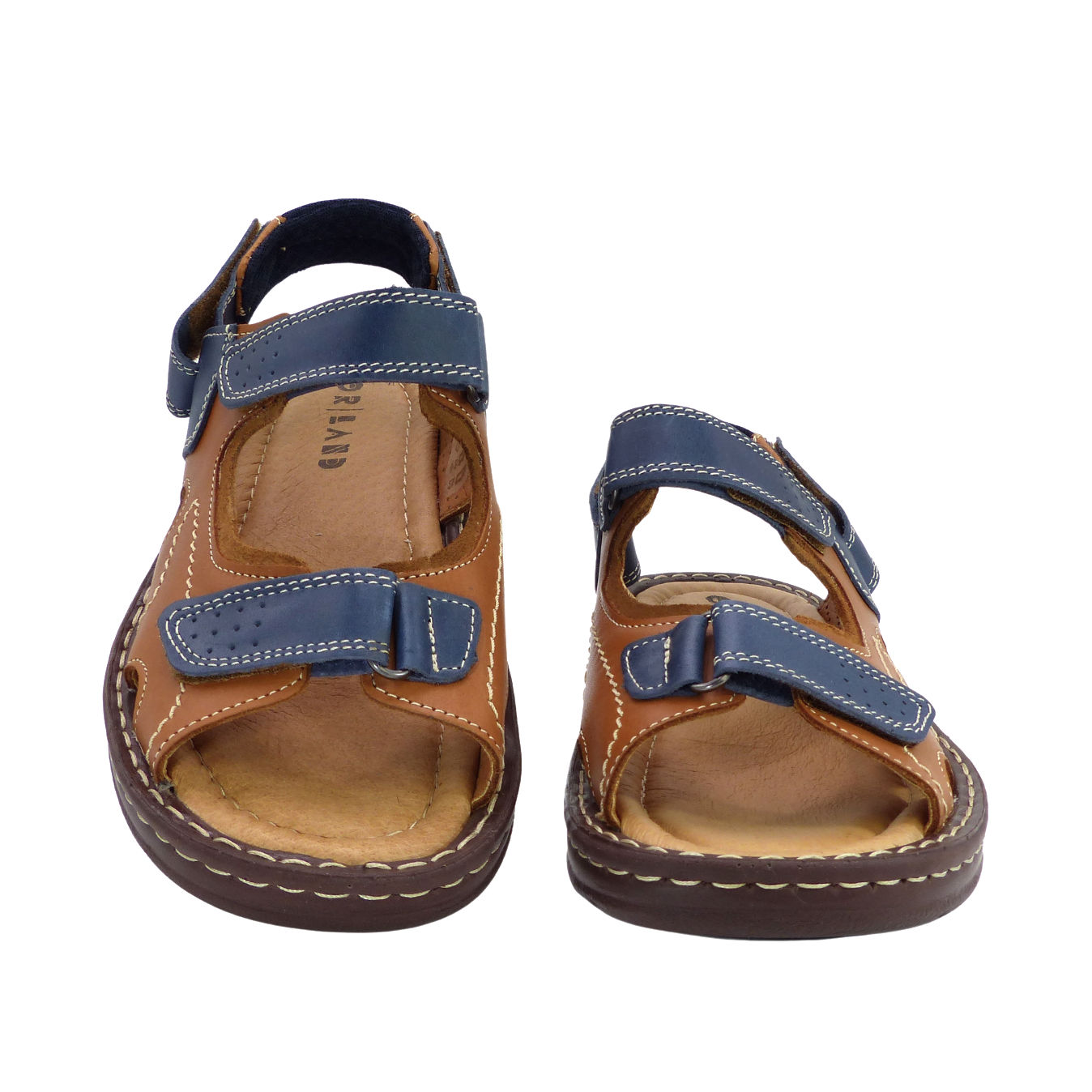 7064Camel2