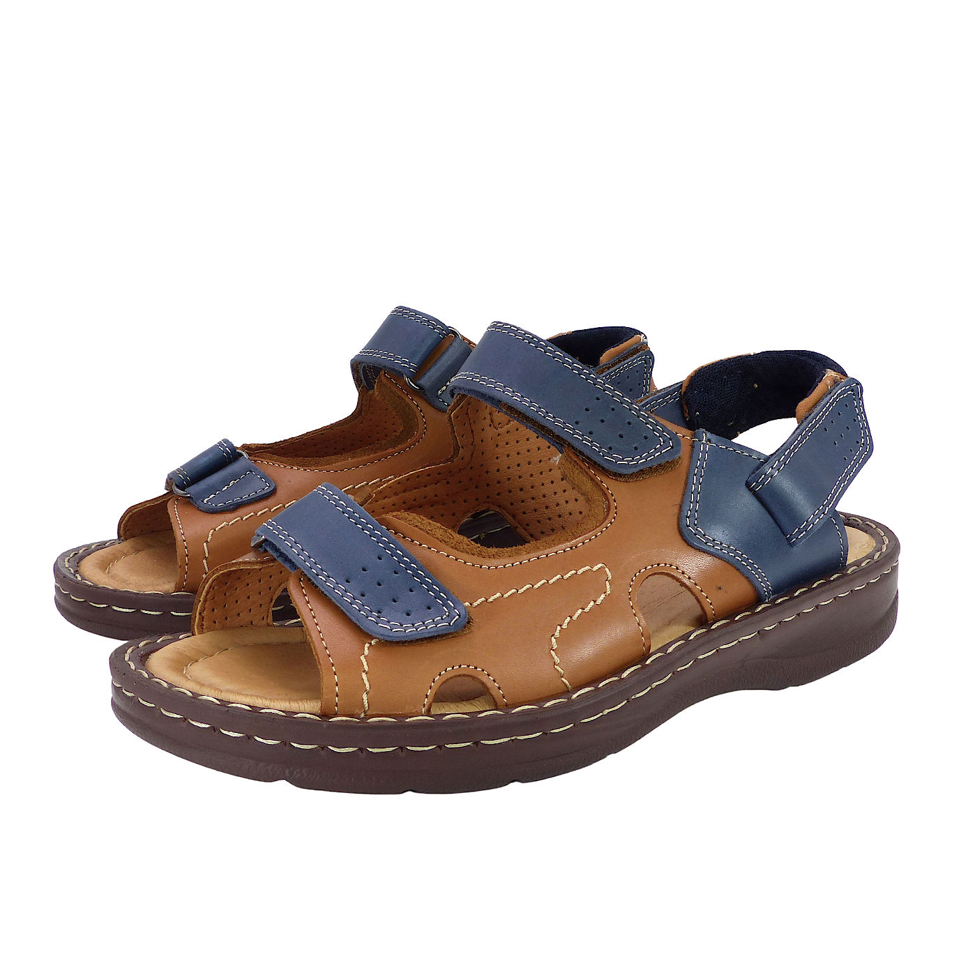 7064Camel1