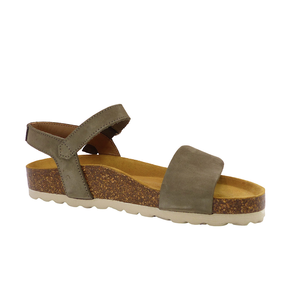 2136Olive4