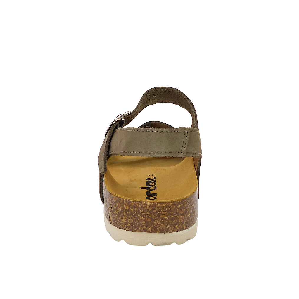 2136Olive7