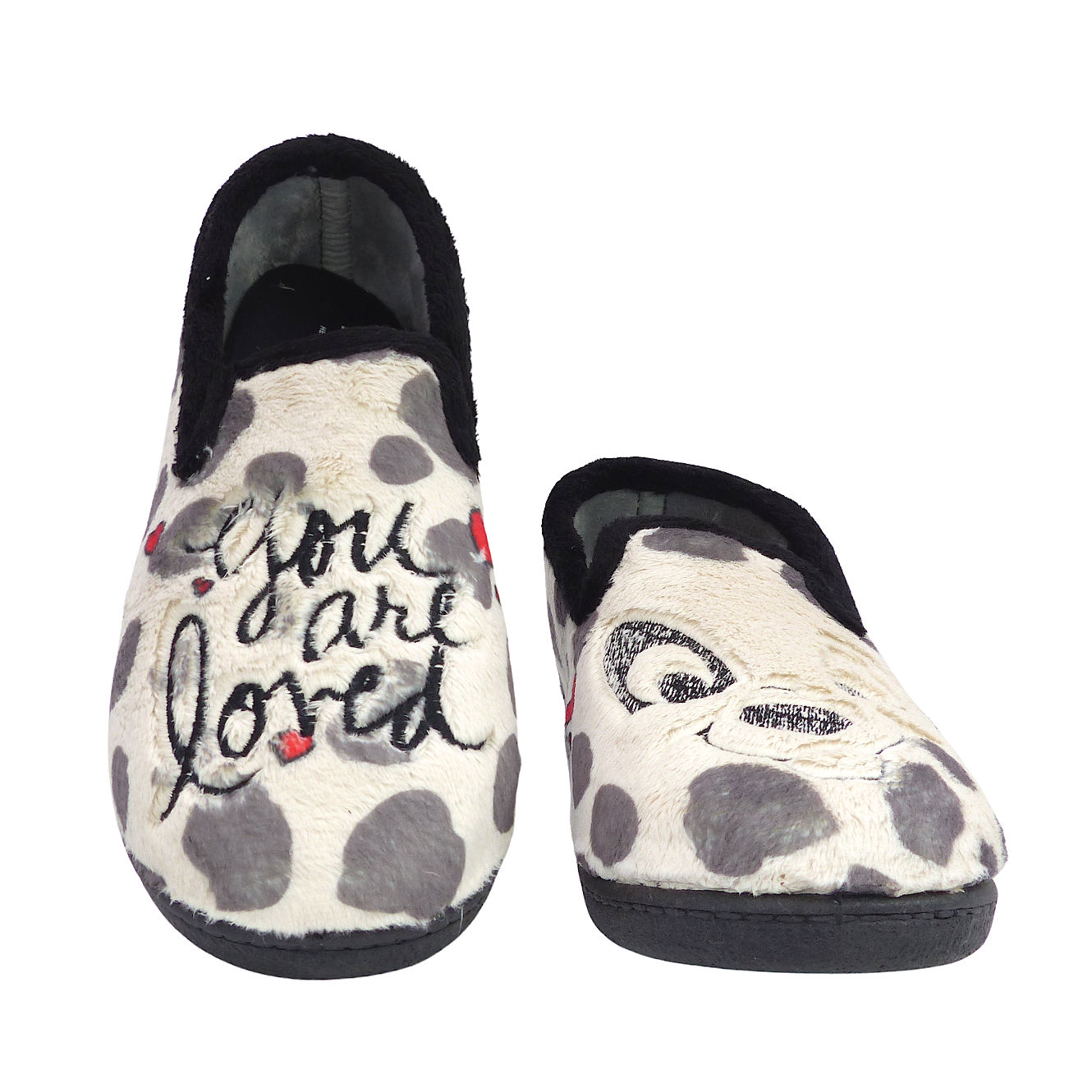 12282Dalmata3