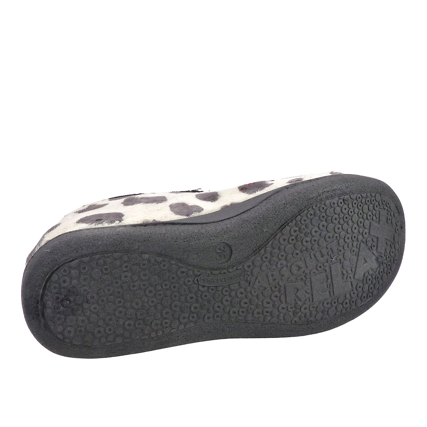 12282Dalmata10