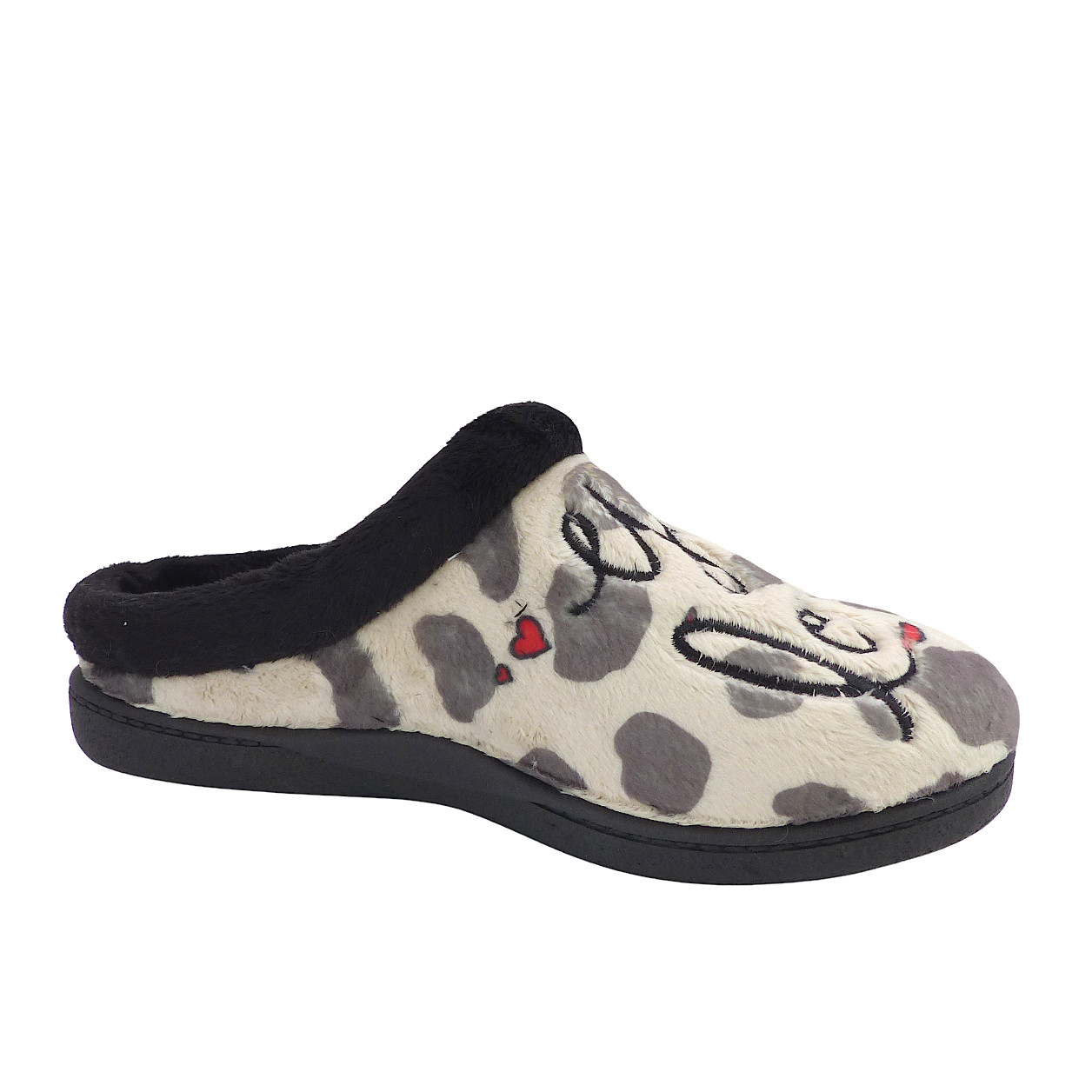 12281Dalmata5