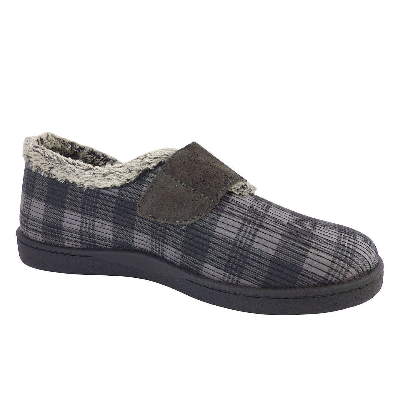 12278Gris5