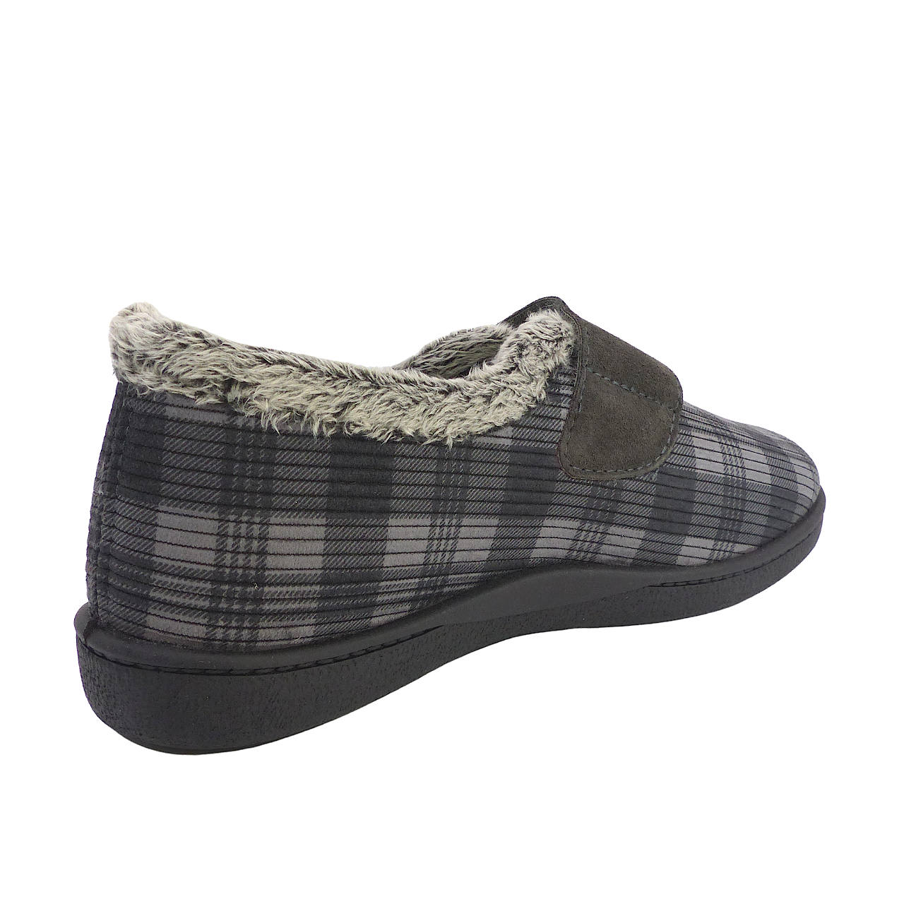 12278Gris6
