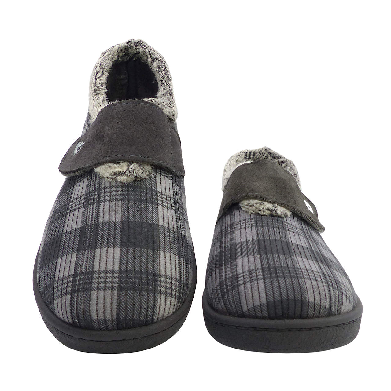 12278Gris2