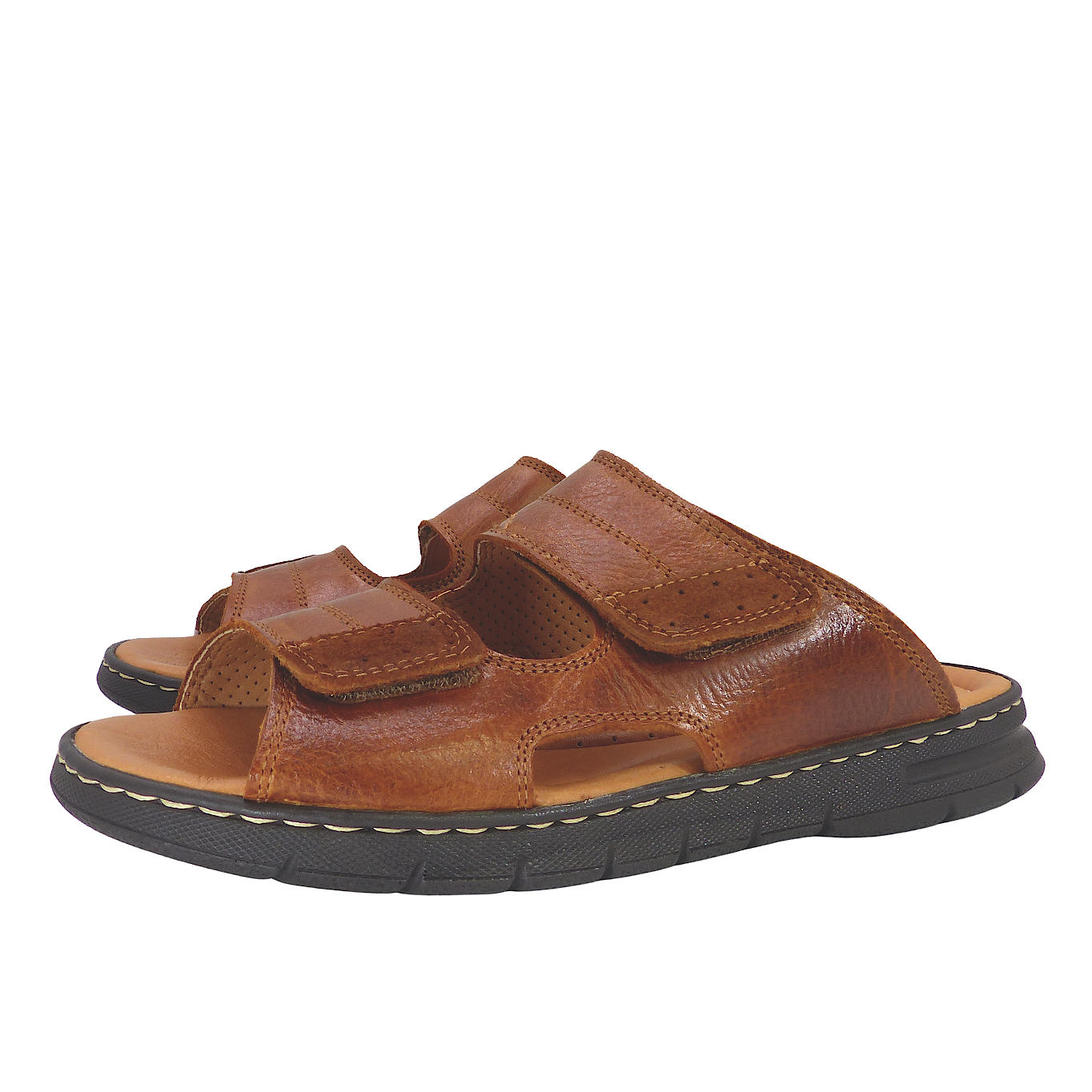 24001Camel1