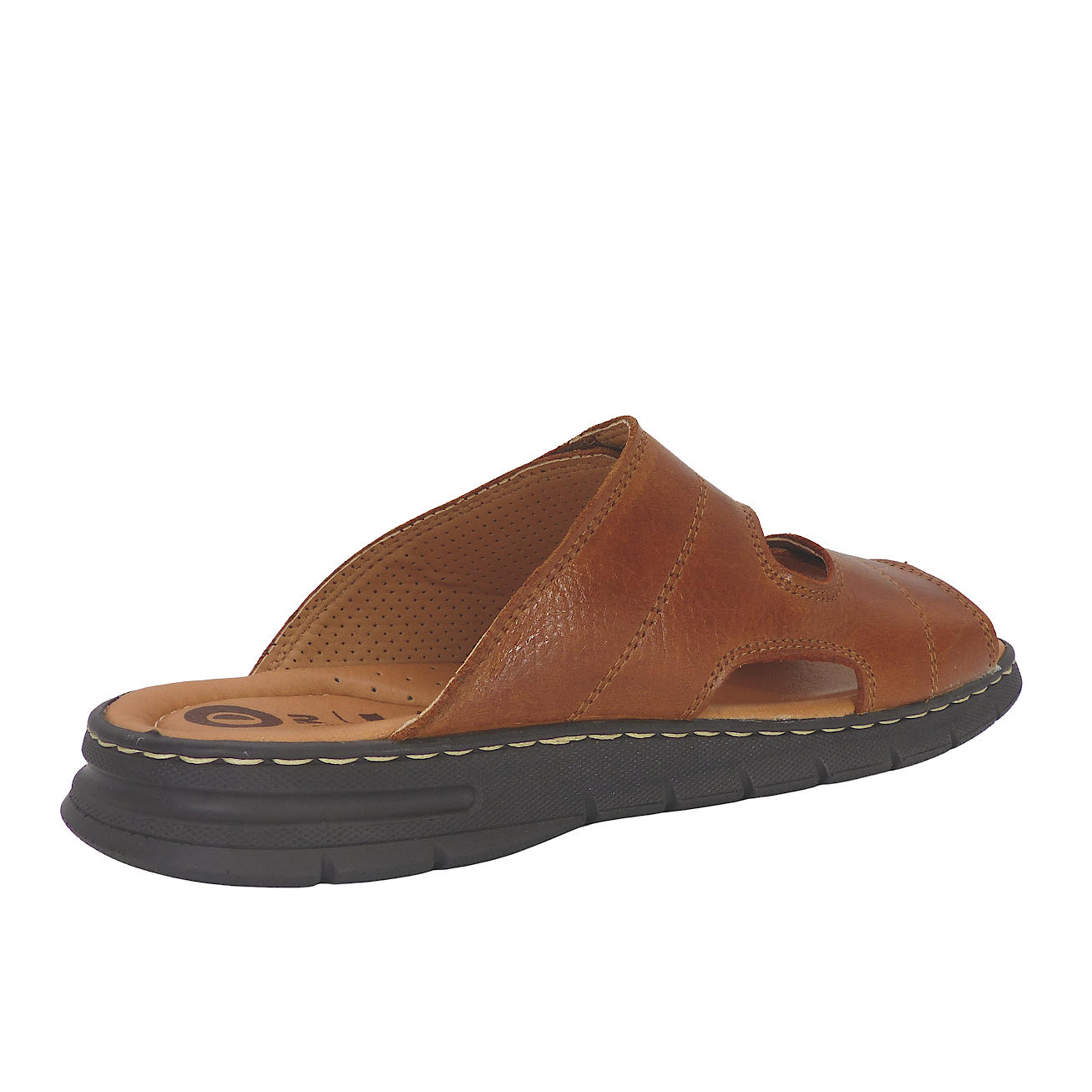 24001Camel5