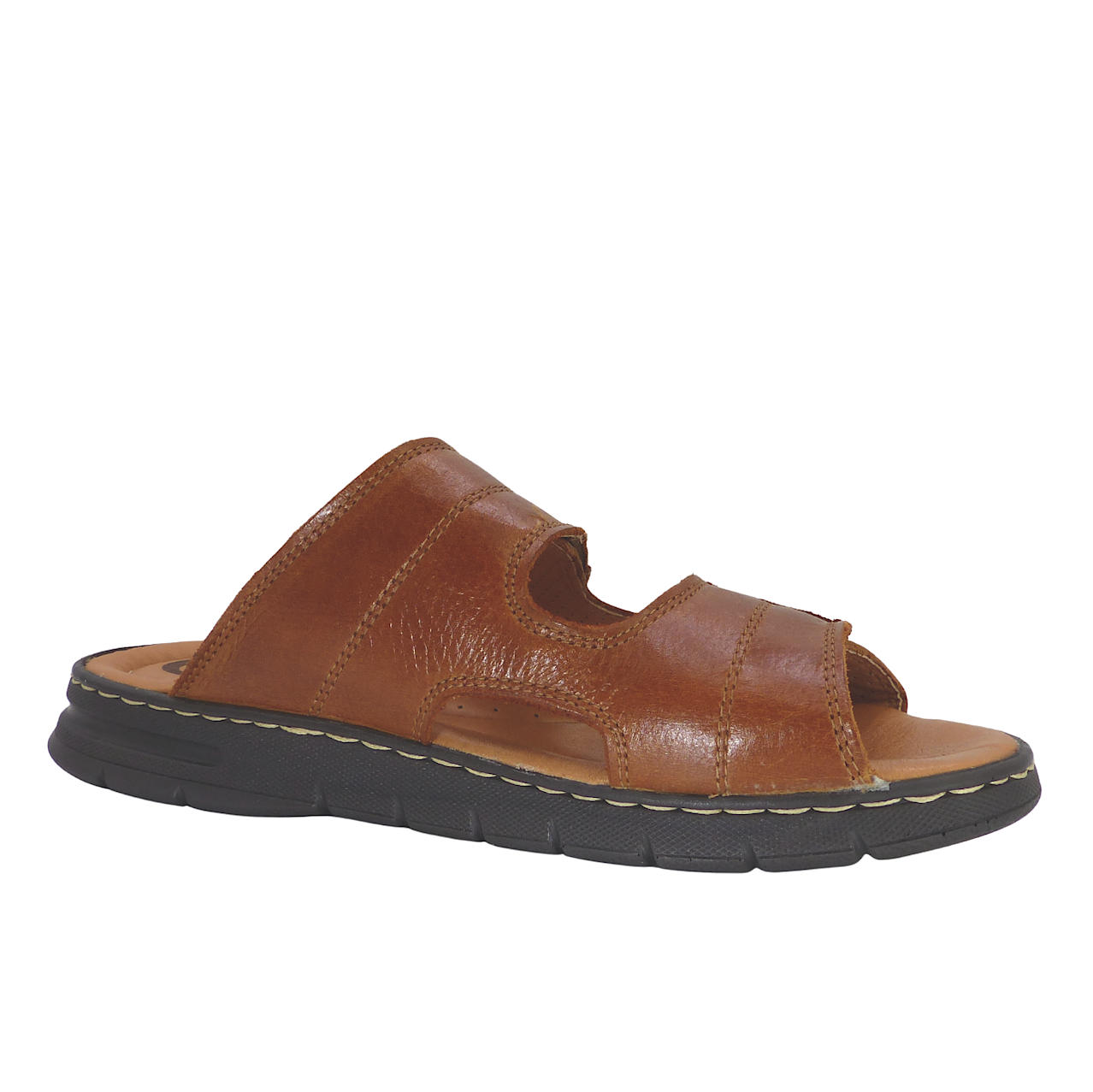 24001Camel6