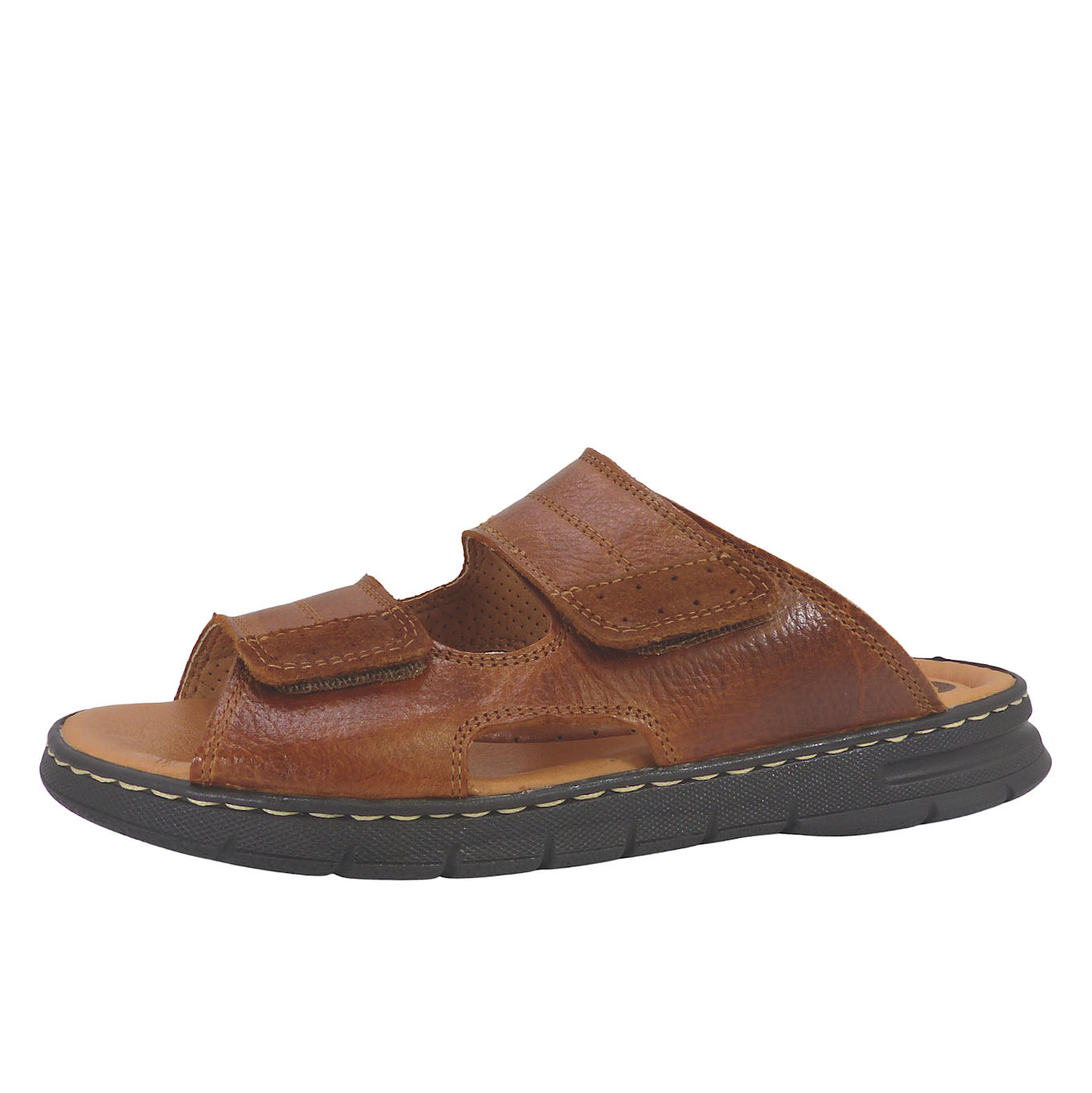 24001Camel4