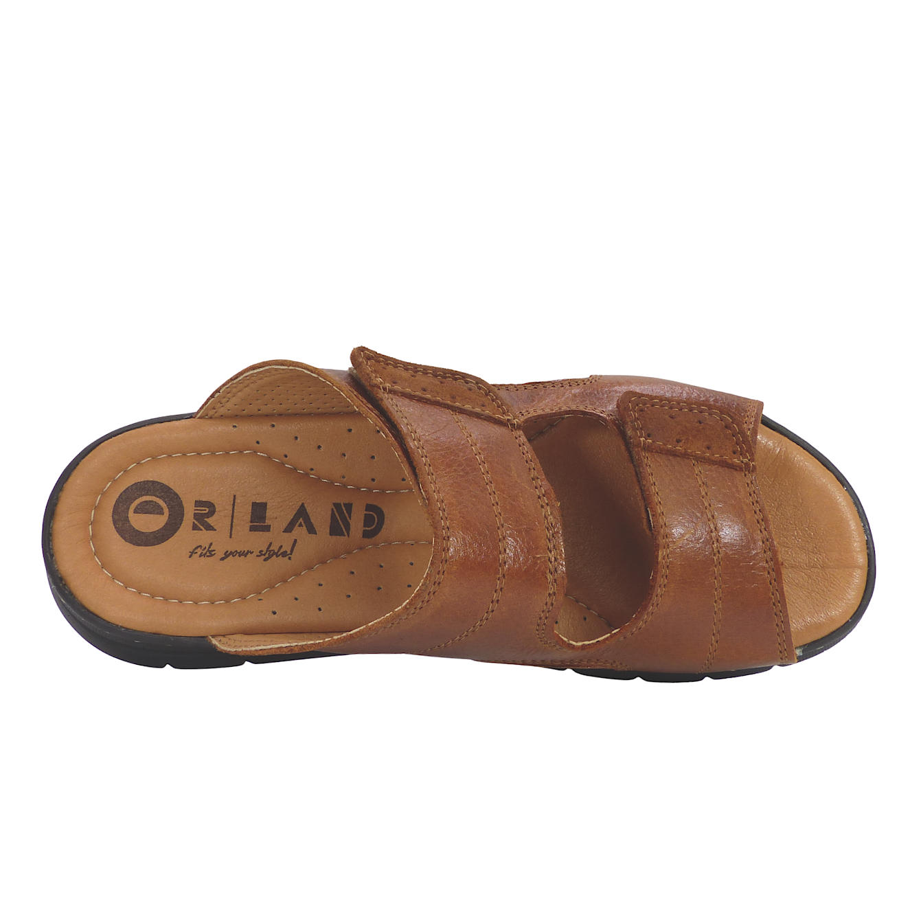 24001Camel9