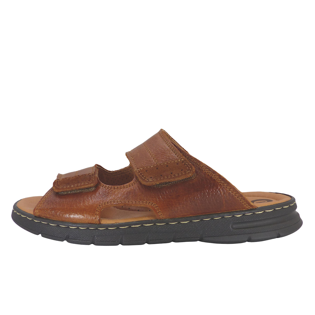 24001Camel3